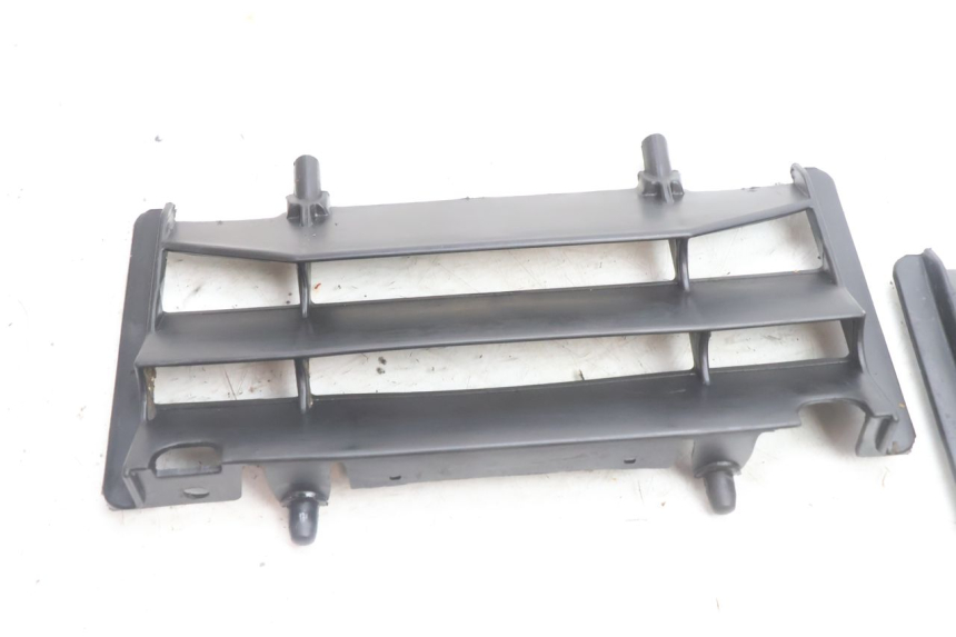 photo de FIANCHETTI RADIATORE RIEJU MRT PRO SUPERMOTARD 50 (2007 - 2018) - Dettaglio del componente