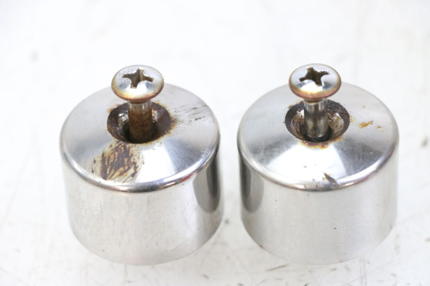 photo de Estremità del manubrio HONDA FES S-WING SWING 125 (2007 - 2015) - Vista principale