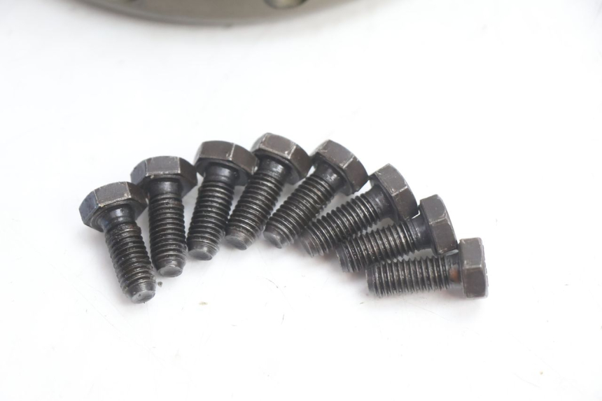 photo de FRIZIONE DUCATI SS IE DS CARENEE 1000 (2002 - 2006) - Stato della superficie e materiale