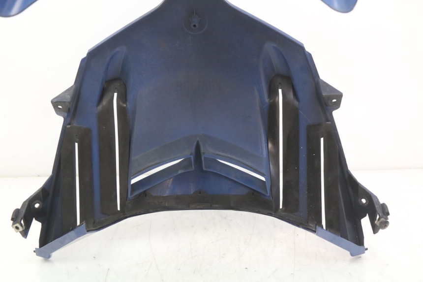 photo de FACCIATA ANTERIORE YAMAHA FJR ABS 1300 (2006 - 2012) - Dettaglio del componente