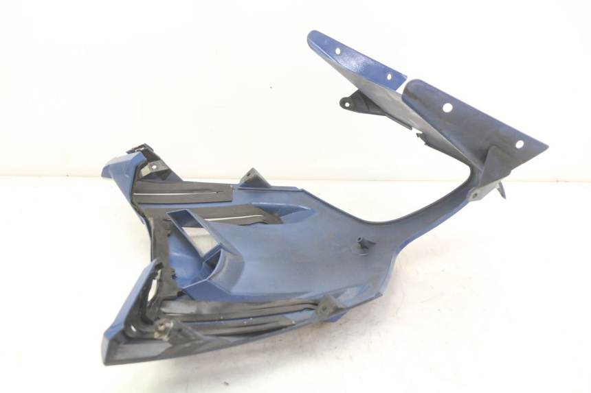 photo de FACCIATA ANTERIORE YAMAHA FJR ABS 1300 (2006 - 2012) - Altra angolazione