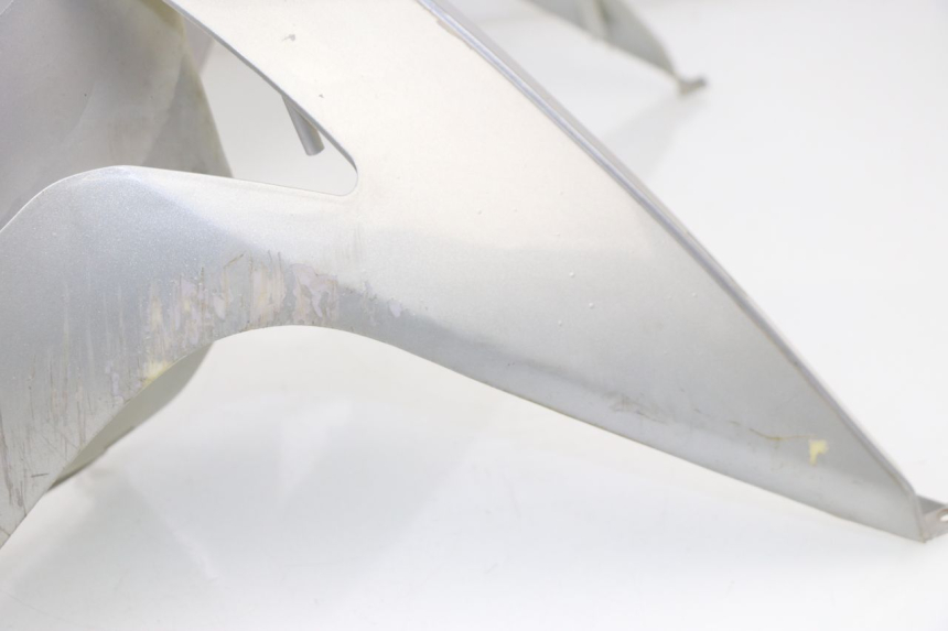 photo de FACCIATA ANTERIORE REVATTO FUTURA GT 125 (2006 - 2008) - Ricambio usato controllato