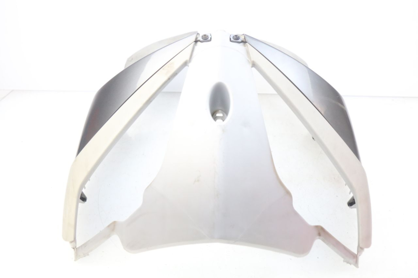 photo de FACCIATA ANTERIORE PEUGEOT GEOPOLIS 400 (2007 - 2013) - Panoramica del profilo