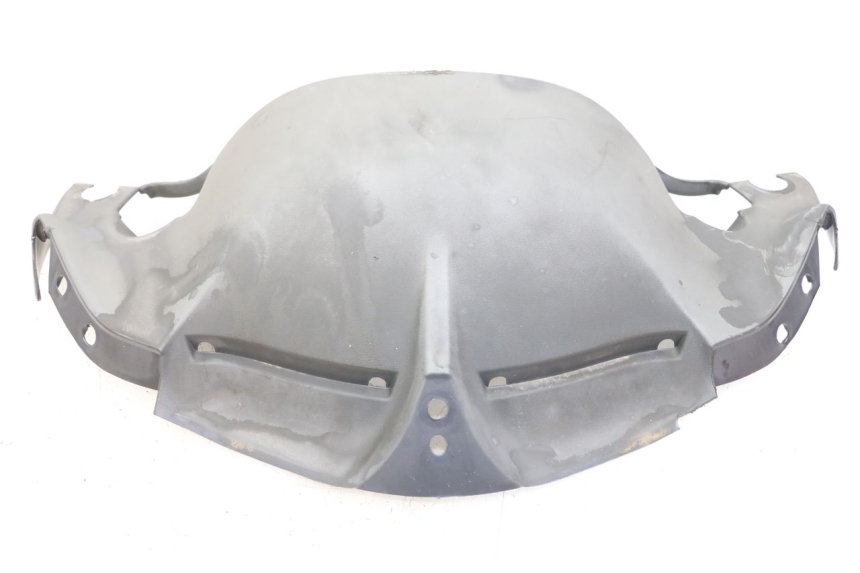 photo de FACCIATA ANTERIORE INTERNA HONDA FES PANTHEON 2T 125 (1998 - 2002) - Vista principale