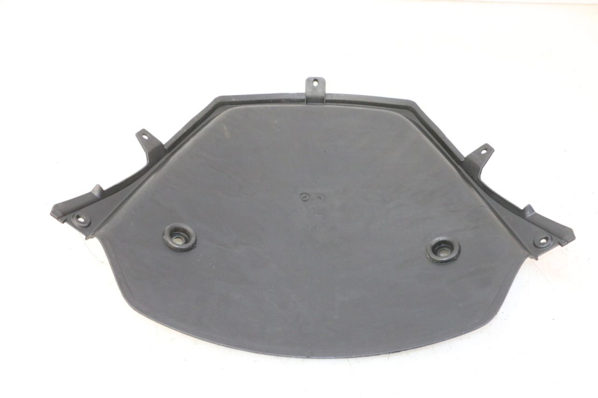 photo de FACCIATA ANTERIORE INTERNA PIAGGIO MP3 RL 250 (2006 - 2010) - Zoom sullo stato d'uso