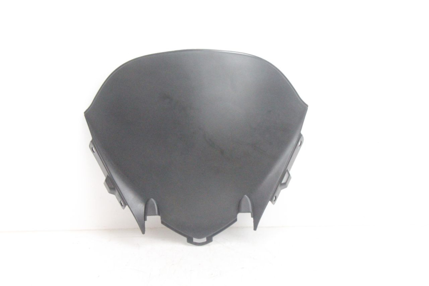 photo de FACCIATA ANTERIORE INTERNA HONDA PCX (JF28) 125 (2009 - 2011) - Vista principale