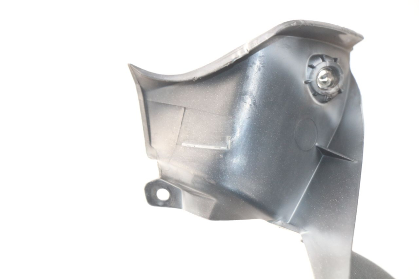 photo de FACCIATA ANTERIORE INTERNA PEUGEOT SATELIS 300 (2012 - 2015) - Dettaglio del componente