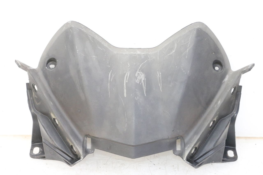 photo de FACCIATA ANTERIORE INTERNA YAMAHA X-MAX XMAX ABS 250 (2010 - 2012) - Vista principale