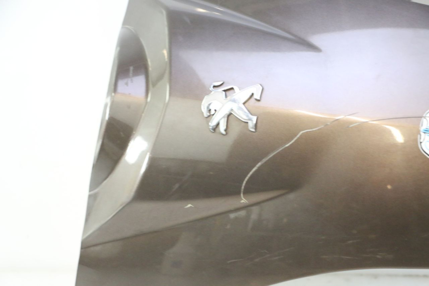 photo de ANTERIORE PEUGEOT KISBEE 4T 50 (2010 - 2017) - Ispezione visiva dettagliata