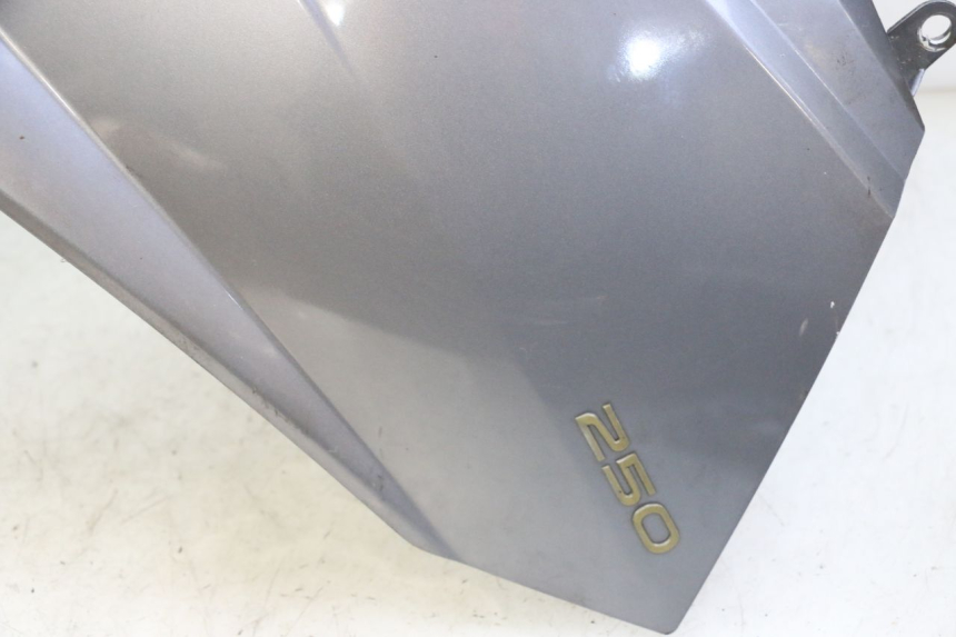 photo de SCUDO CARENA ANTERIORE PEUGEOT SATELIS 250 (2006 - 2012) - Ricambio usato controllato