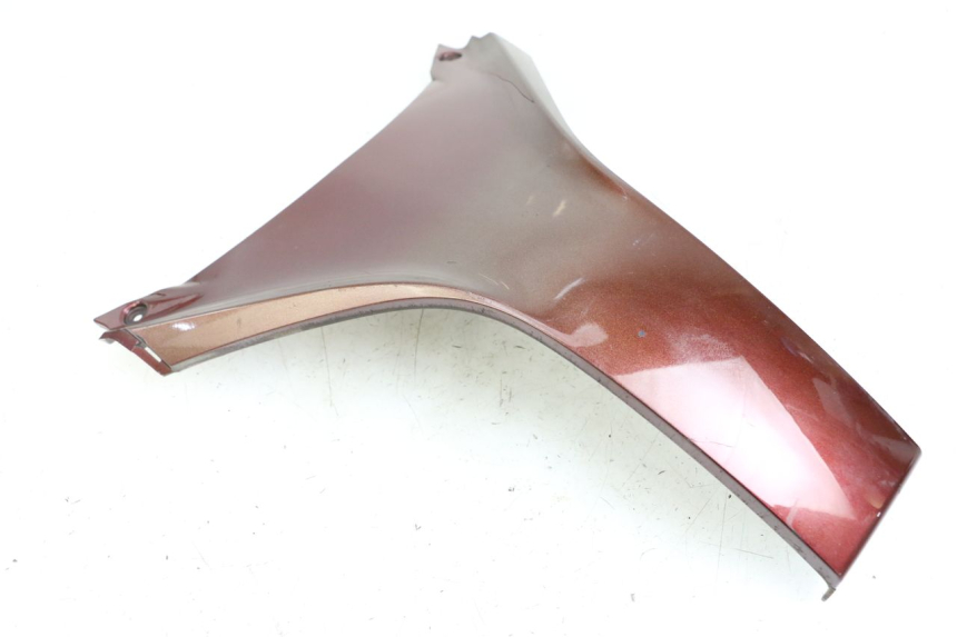 photo de FACCIATA ANTERIORE SUPERIORE HONDA FES S-WING SWING ABS 125 (2007 - 2015) - Vista principale