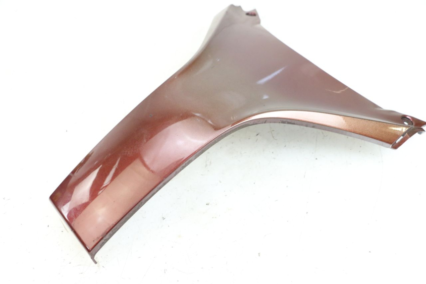 photo de FACCIATA ANTERIORE SUPERIORE HONDA FES S-WING SWING ABS 125 (2007 - 2015) - Primo piano tecnico