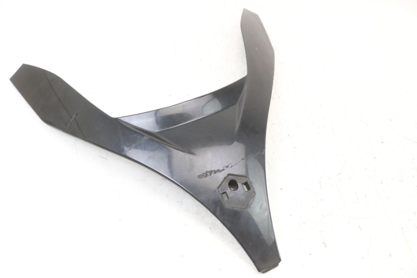 photo de FACCIATA ANTERIORE SUPERIORE PIAGGIO MP3 LT 400 (2007 - 2012) - Vista principale