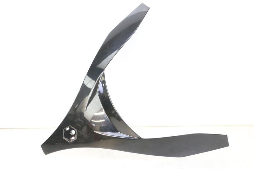 photo de FACCIATA ANTERIORE SUPERIORE PIAGGIO MP3 125 (2006 - 2014) - Vista principale