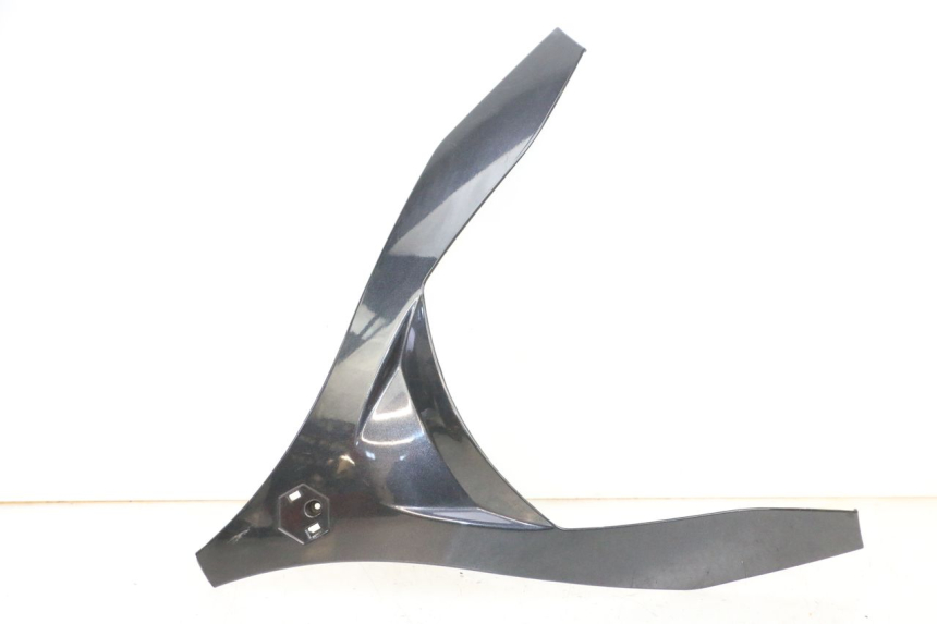 photo de FACCIATA ANTERIORE SUPERIORE PIAGGIO MP3 125 (2006 - 2014) - Vista principale