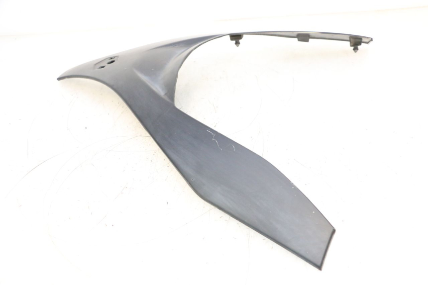 photo de CARENA ANTERIORE SUPERIORE PIAGGIO MP3 RL 250 (2006 - 2010) - Primo piano tecnico