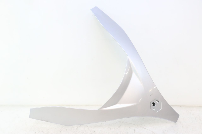 photo de FACCIATA ANTERIORE SUPERIORE PIAGGIO MP3 125 (2006 - 2014) - Vista principale