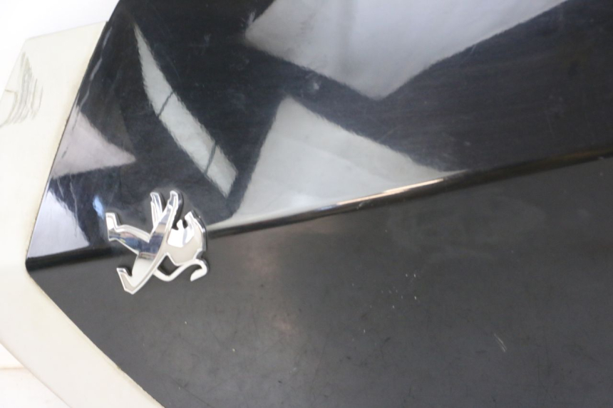 photo de FACCIATA ANTERIORE SUPERIORE PEUGEOT VIVACITY 125 (2010 - 2017) - Vista d'insieme del prodotto