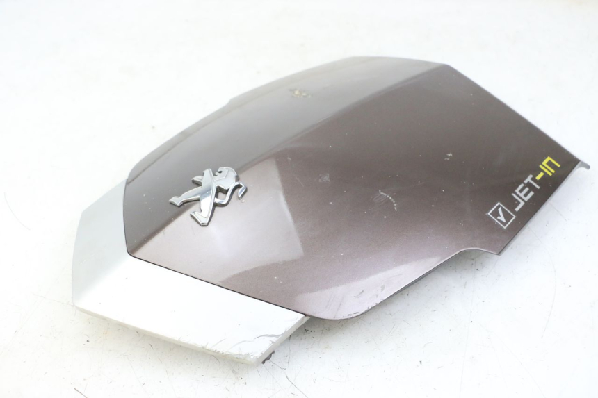 photo de FACCIATA ANTERIORE SUPERIORE PEUGEOT VIVACITY 125 (2010 - 2017) - Stato della superficie e materiale