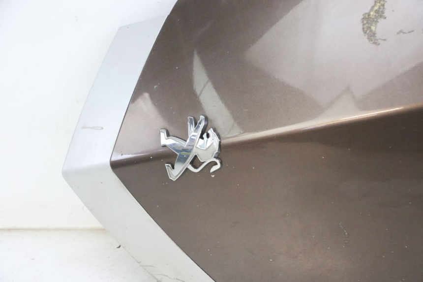 photo de FACCIATA ANTERIORE SUPERIORE PEUGEOT VIVACITY 125 (2010 - 2017) - Marcature e riferimenti originali