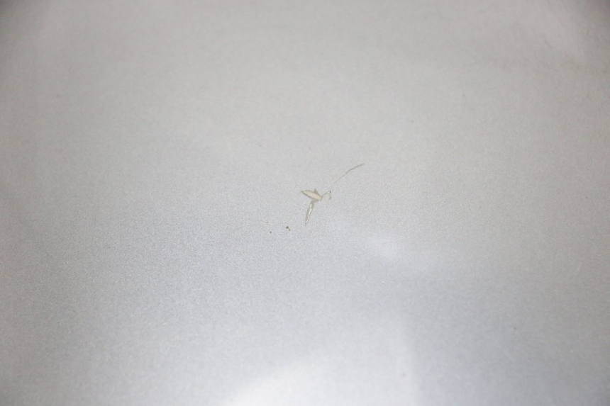 photo de FACCIA ANTERIORE SUPERIORE EFUN PUSA 1 - Stato della superficie e materiale