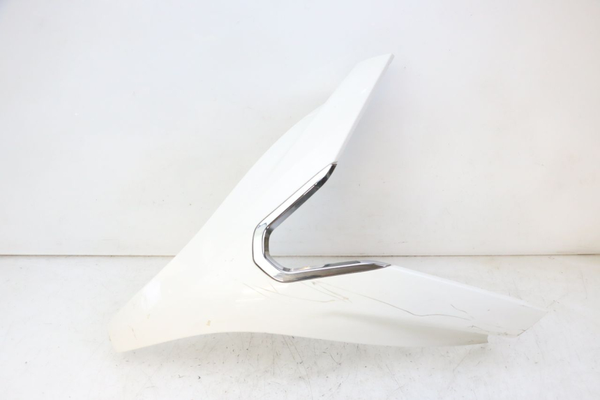 photo de FACCIATA ANTERIORE SUPERIORE PEUGEOT SATELIS 125 (2010 - 2012) - Vista principale