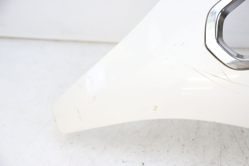 photo de FACCIATA ANTERIORE SUPERIORE PEUGEOT SATELIS 125 (2010 - 2012) - Caratteristiche distintive