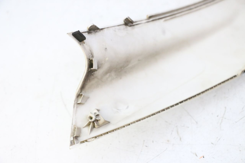 photo de FACCIATA ANTERIORE SUPERIORE PEUGEOT SATELIS 125 (2010 - 2012) - Primo piano tecnico