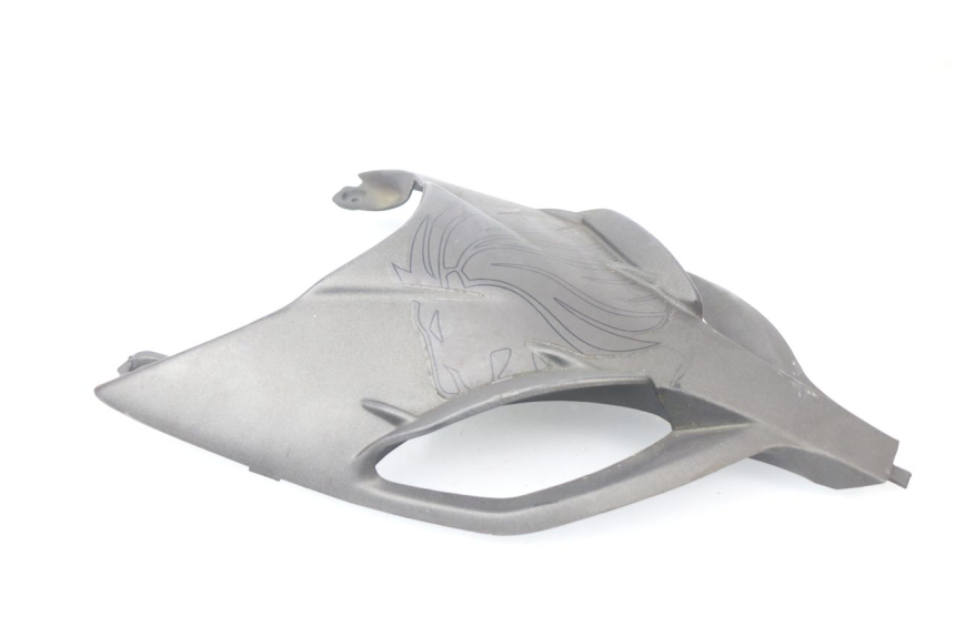 photo de FACCIATA ANTERIORE SUPERIORE APRILIA SR CARB LC 2T 50 (2004 - 2012) - Stato della superficie e materiale