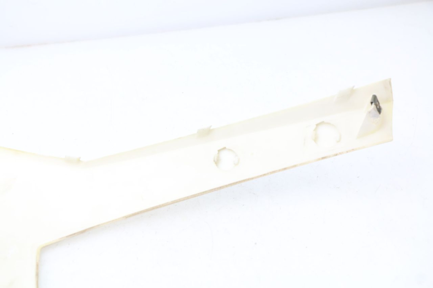 photo de FACCIATA ANTERIORE SUPERIORE RAZZO STEED 125 (2012 - 2018) - Dettaglio del componente