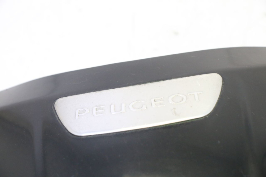 photo de FACCIATA ANTERIORE SUPERIORE PEUGEOT TWEET 4T 50 (2018 - 2022) - Zoom sullo stato d'uso