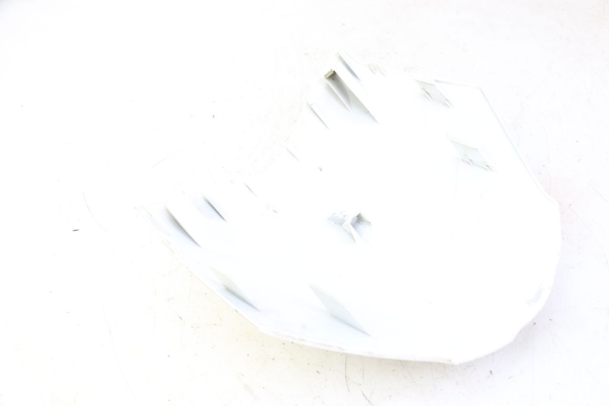 photo de CARENA ANTERIORE SUPERIORE PEUGEOT TWEET PRO CARGO 50 (2018 - 2022) - Dettaglio del componente