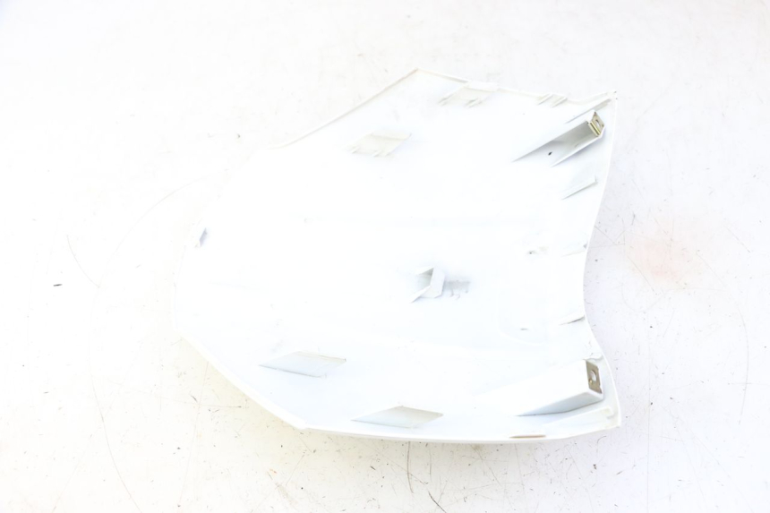 photo de CARENA ANTERIORE SUPERIORE PEUGEOT TWEET PRO CARGO 50 (2018 - 2022) - Zoom sullo stato d'uso