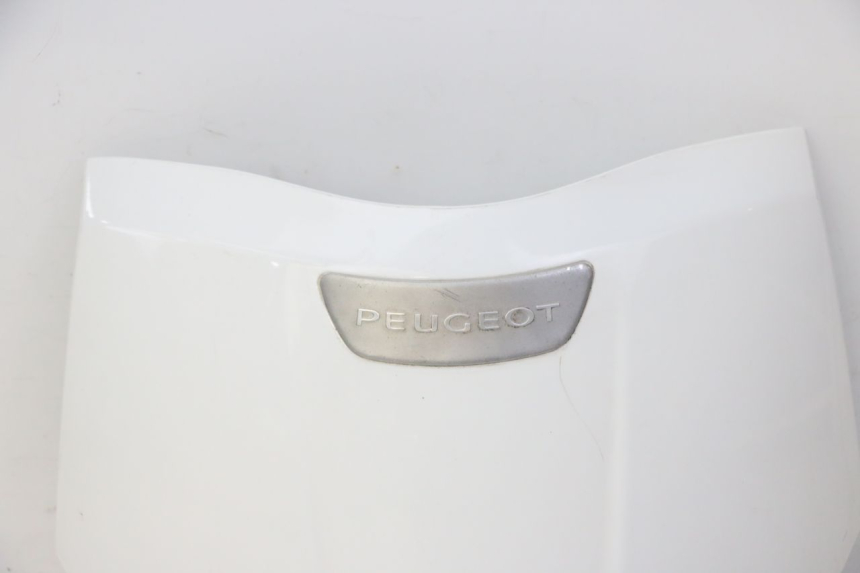 photo de CARENA ANTERIORE SUPERIORE PEUGEOT TWEET PRO CARGO 50 (2018 - 2022) - Ricambio usato controllato
