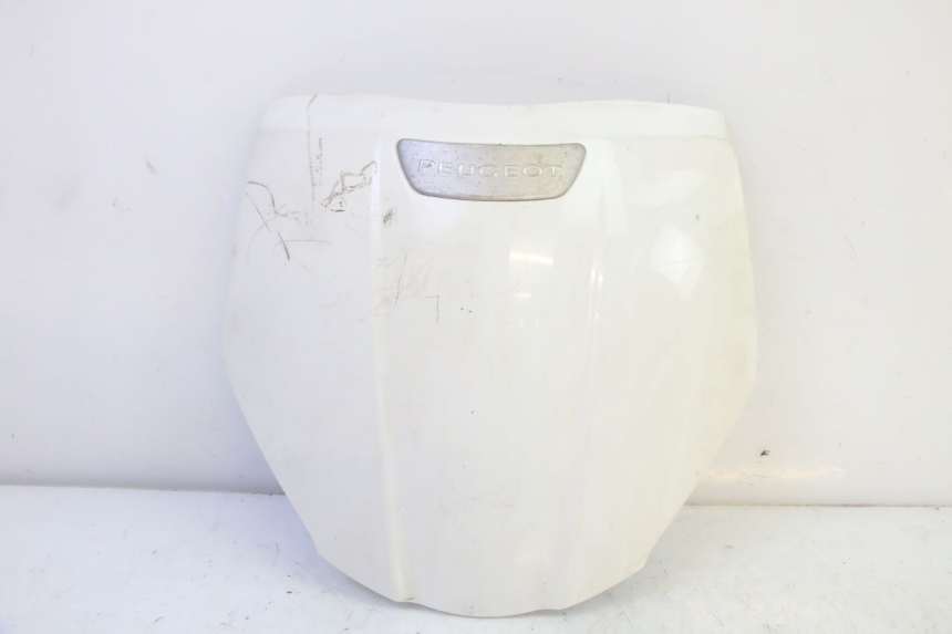 photo de CARENA ANTERIORE SUPERIORE PEUGEOT TWEET PRO EFI 4T 50 (2021 - 2022) - Vista principale