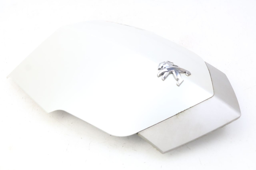 photo de FACCIATA ANTERIORE SUPERIORE PEUGEOT VIVACITY NEW 4T 50 (2008 - 2017) - Vista d'insieme del prodotto