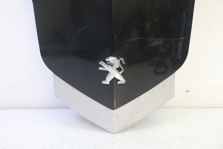 photo de FACCIATA ANTERIORE SUPERIORE PEUGEOT VIVACITY NEW 4T 50 (2008 - 2017) - Primo piano tecnico