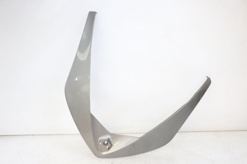 photo de FACCIATA ANTERIORE SUPERIORE PIAGGIO X10 125 (2012 - 2017) - Vista principale