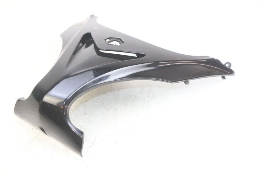 photo de FACCIATA ANTERIORE SUPERIORE PIAGGIO X9 EVOLUTION 125 (2003 - 2007) - Vista d'insieme del prodotto