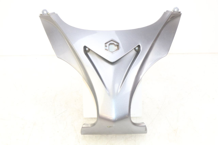 photo de FACCIATA ANTERIORE SUPERIORE PIAGGIO X9 EVOLUTION 250 (2003 - 2007) - Vista principale