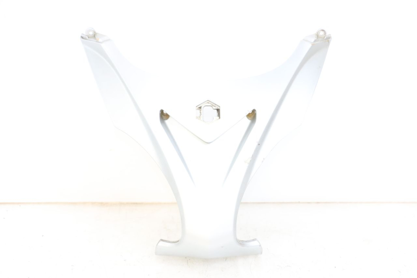 photo de FACCIATA ANTERIORE SUPERIORE PIAGGIO X9 125 (2000 - 2003) - Vista principale