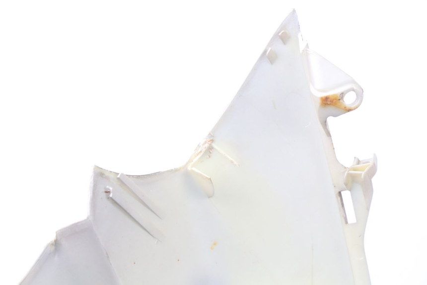 photo de FACCIATA ANTERIORE PIAGGIO X9 125 (2000 - 2003) - Zoom sullo stato d'uso