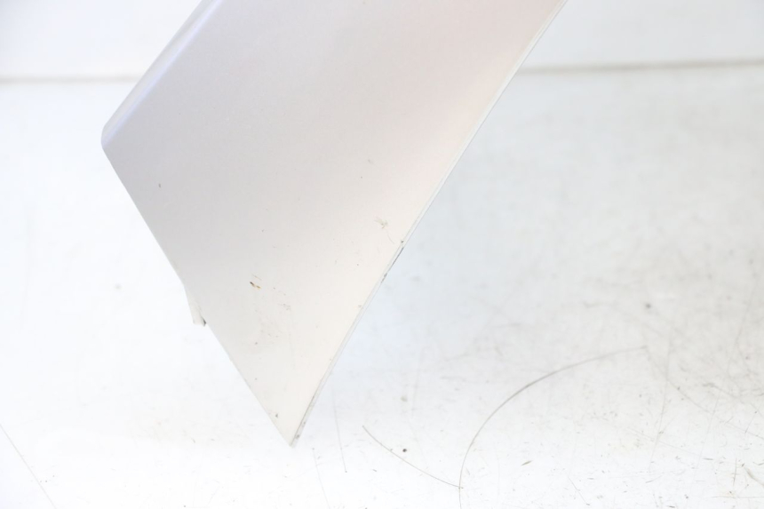 photo de FACCIATA ANTERIORE YAMAHA YP MAJESTY 125 (2002 - 2006) - Foto prodotto supplementare