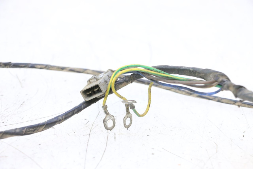 photo de IMPIANTO ELETTRICO PEUGEOT 103 SPX CLIP 50 (1989 - 1992) - Dettaglio del componente