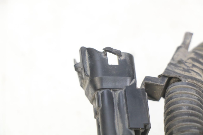 photo de FAISCEAU KYMCO AGILITY 16+ 4T 50 (2018 - 2023) - Dettaglio del componente