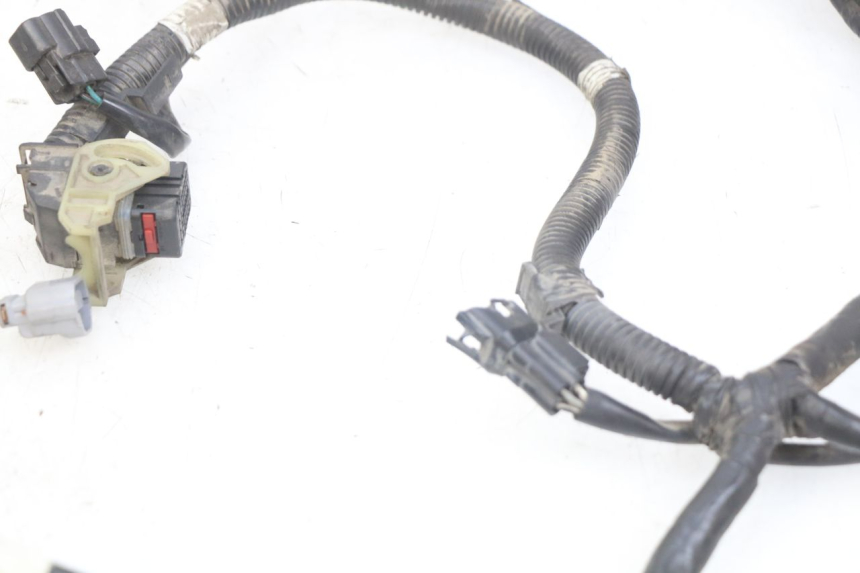 photo de FAISCEAU KYMCO AGILITY 16+ 4T 50 (2018 - 2023) - Vista d'insieme del prodotto