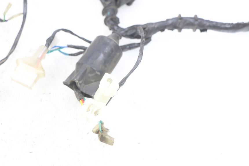 photo de FAISCEAU KYMCO AGILITY 16+ 4T 50 (2018 - 2023) - Marcature e riferimenti originali