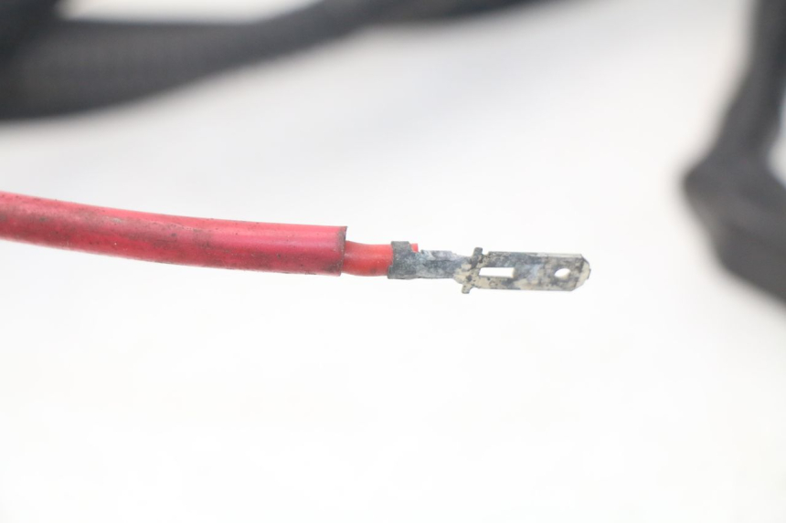 photo de Cablaggio batteria SYM GTS EVO 125 (2009 - 2013) - Zoom sullo stato d'uso