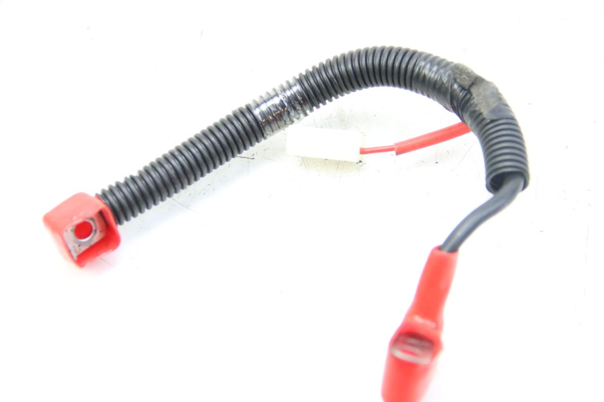 photo de BATTERIA SYM ORBIT III 3 4T 50 (2021 - 2025) - Dettaglio del componente