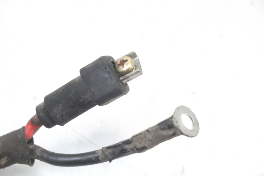 photo de BATTERIA PIAGGIO ZIP 2T 50 (2009 - 2019) - Dettaglio del componente